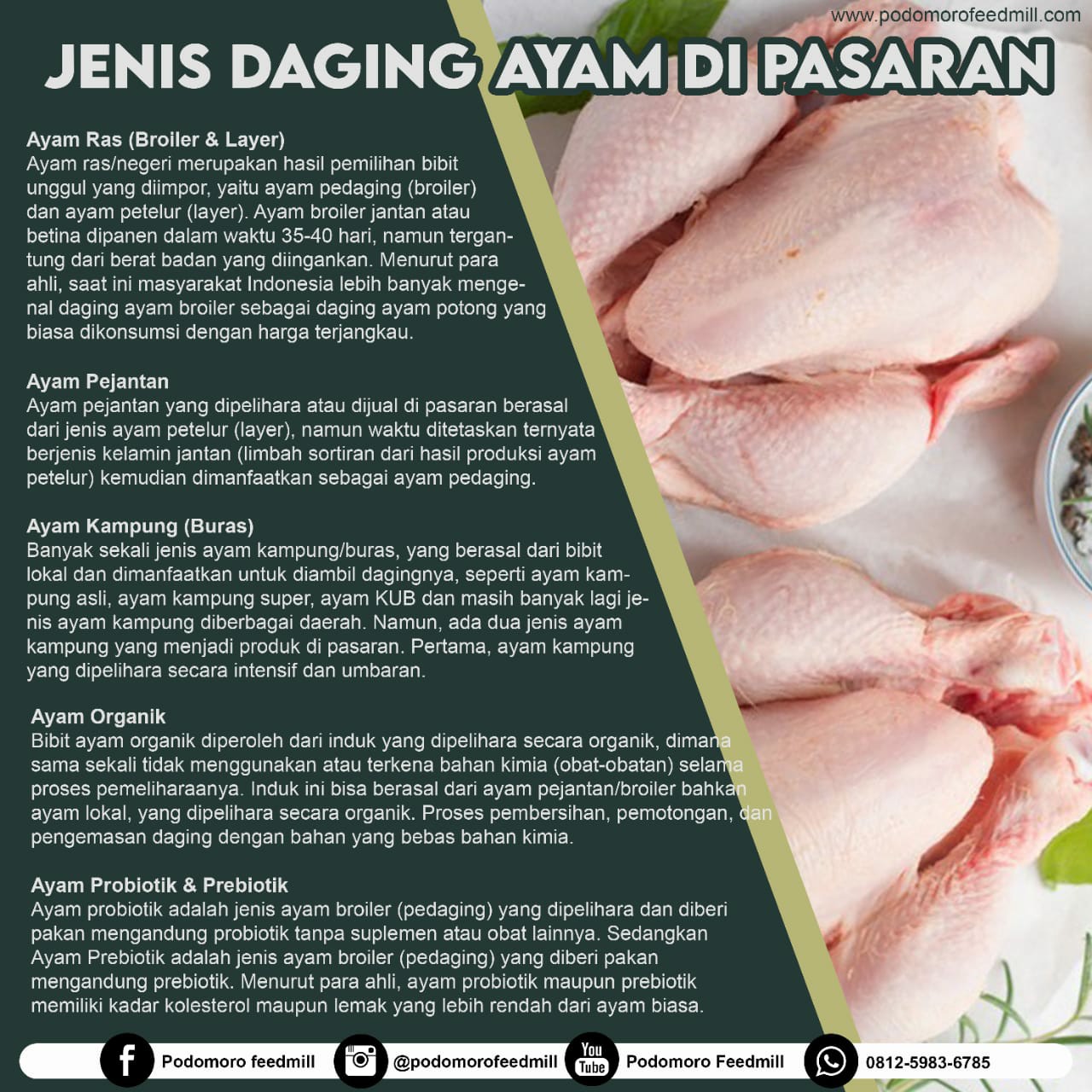 Detail Gambar Daging Ayam Nomer 46