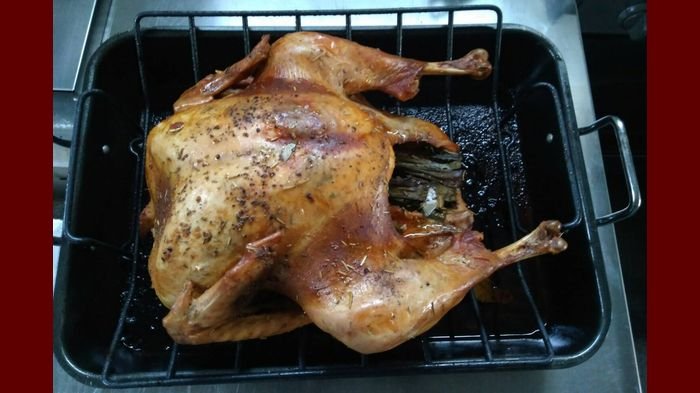 Detail Gambar Daging Ayam Kalkun Nomer 30