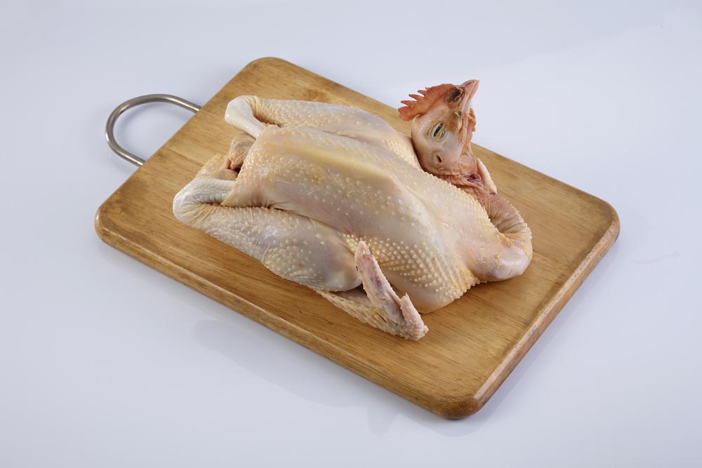 Detail Gambar Daging Ayam Kampung Nomer 2