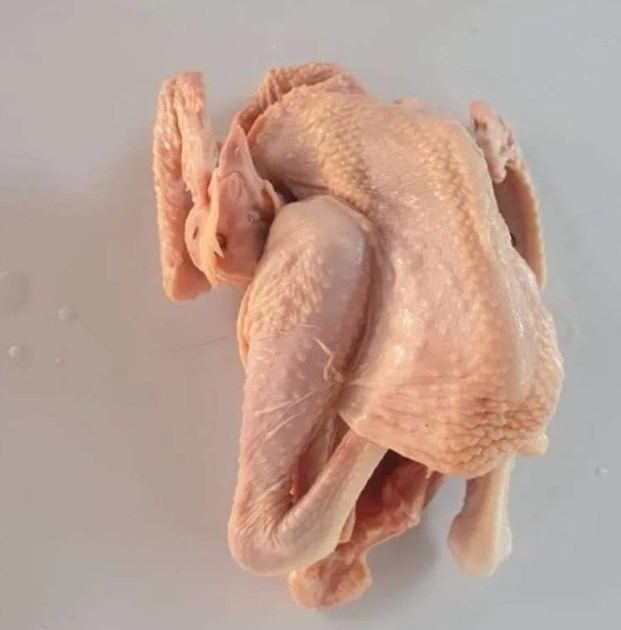 Detail Gambar Daging Ayam Kampung Nomer 9