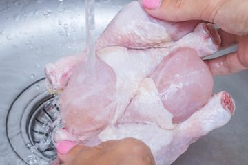 Detail Gambar Daging Ayam Mentah Nomer 55