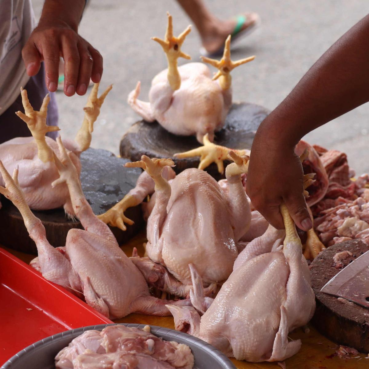 Detail Gambar Daging Ayam Potong Nomer 25