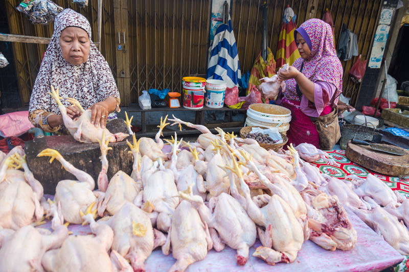 Detail Gambar Daging Ayam Potong Nomer 38