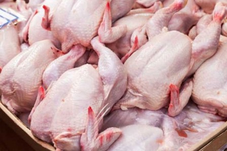 Detail Gambar Daging Ayam Potong Nomer 10