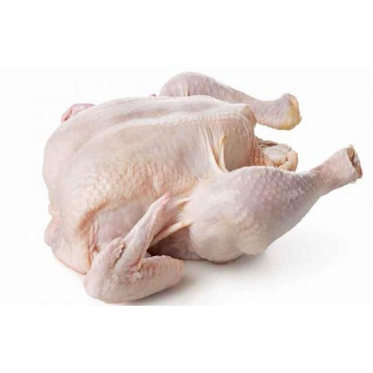 Detail Gambar Daging Ayam Ras Nomer 34