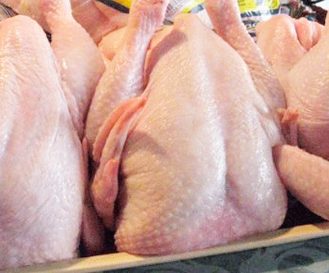 Detail Gambar Daging Ayam Segar Nomer 20