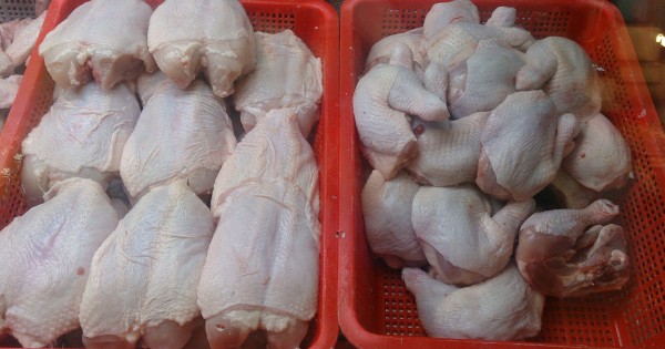 Detail Gambar Daging Ayam Segar Nomer 28