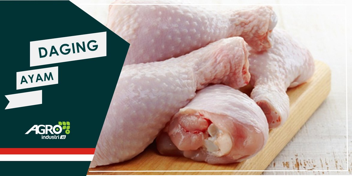 Detail Gambar Daging Ayam Segar Nomer 42