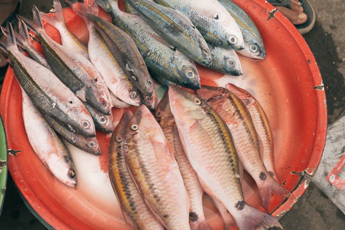 Detail Gambar Daging Dan Ikan Nomer 31