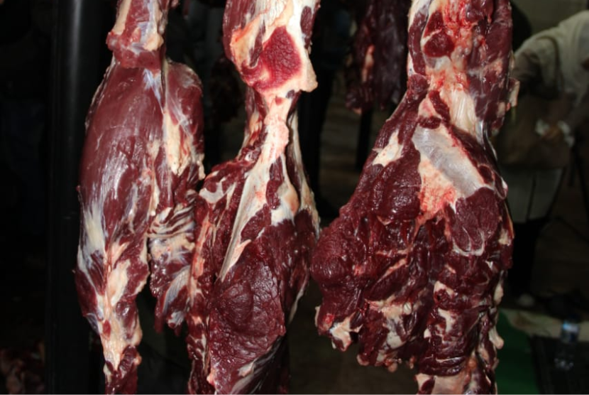 Detail Gambar Daging Sapi Yang Diimpor Ke Indonesia Nomer 23