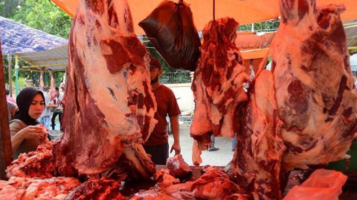 Detail Gambar Daging Sapi Yang Diimpor Ke Indonesia Nomer 30