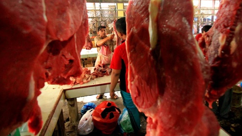 Detail Gambar Daging Sapi Yang Diimpor Ke Indonesia Nomer 32