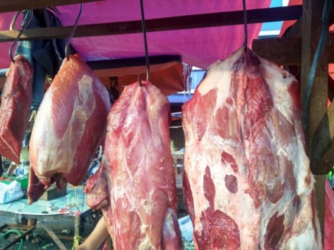 Detail Gambar Daging Sapi Yang Diimpor Le Indonesia Nomer 9