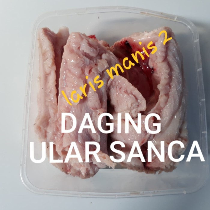 Detail Gambar Daging Ular Gambar Potong Daging Babi Nomer 15