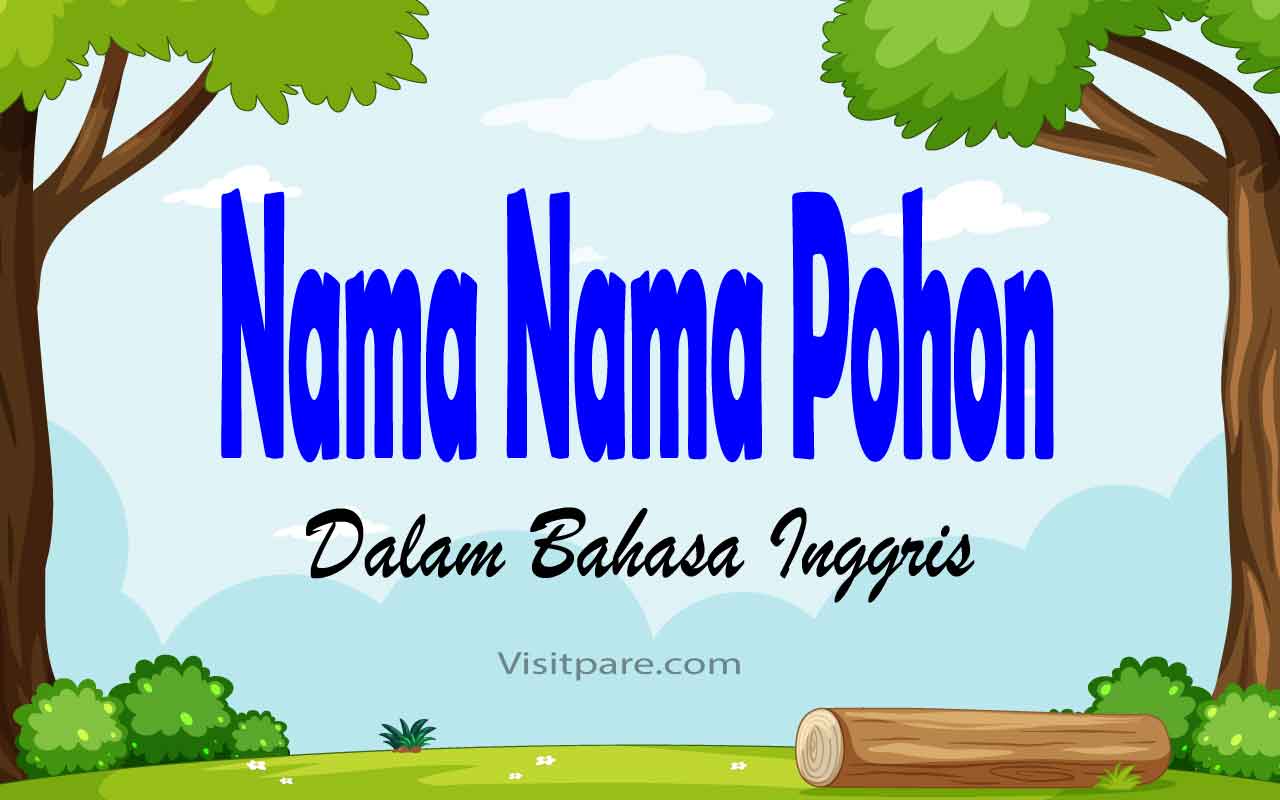 Detail Gambar Dalam Bahasa Inggris Nomer 43