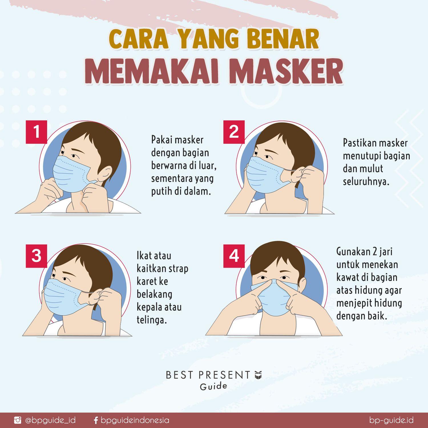 Detail Gambar Dalam Hidung Yang Sehat Nomer 37