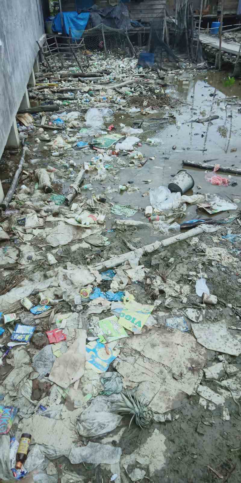 Detail Gambar Dampak Lingkungan Kotor Dan Polusi Sampah Nomer 38