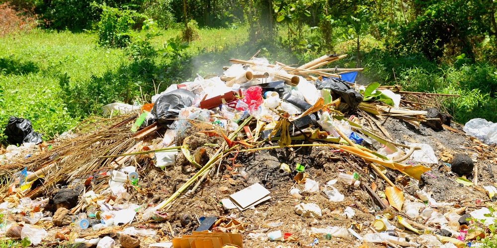 Detail Gambar Dampak Lingkungan Kotor Dan Polusi Sampah Nomer 50