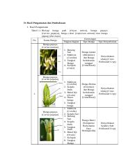 Detail Gambar Dan Bagian Bagian Bunga Pepaya Nomer 5