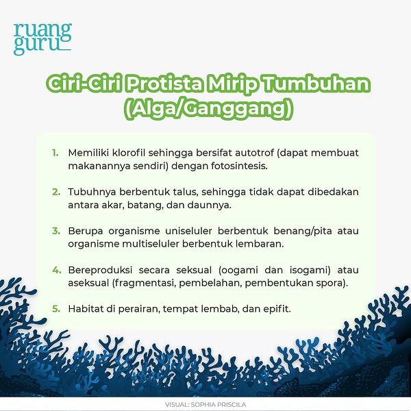 Detail Gambar Dan Identifikasi Protista Tumbuhan Nomer 33