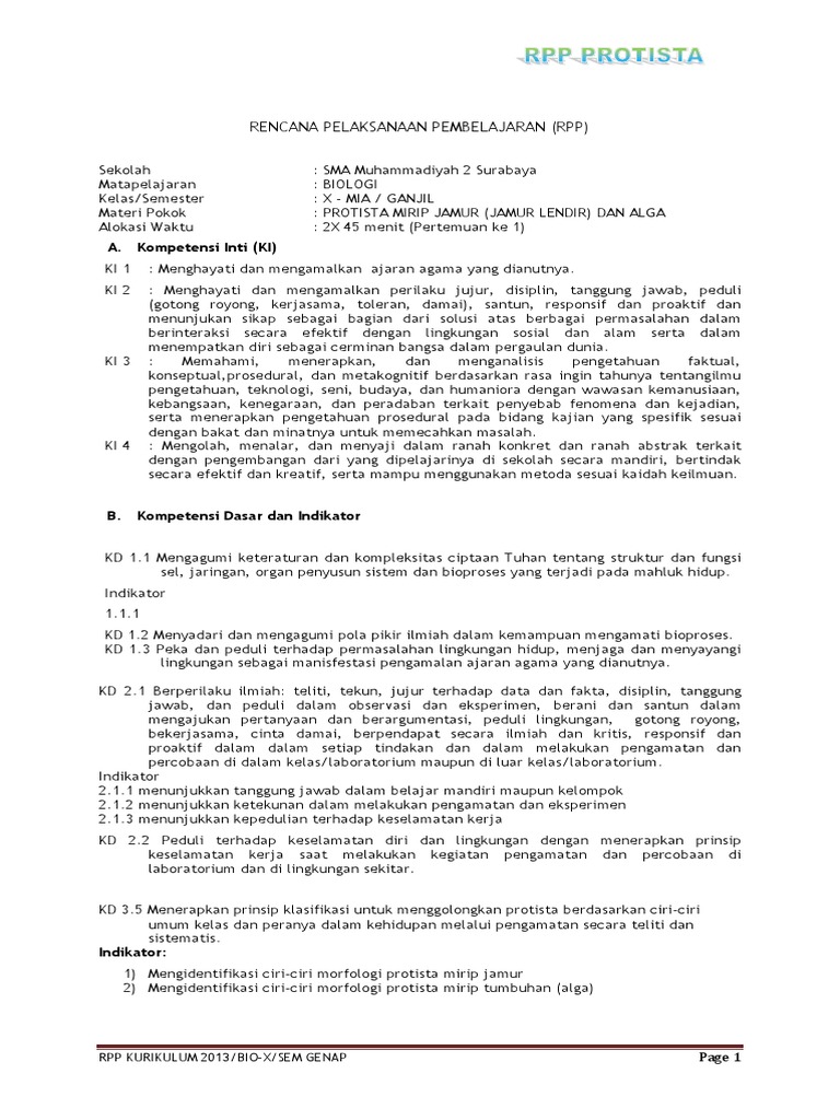 Detail Gambar Dan Identifikasi Protista Tumbuhan Nomer 43