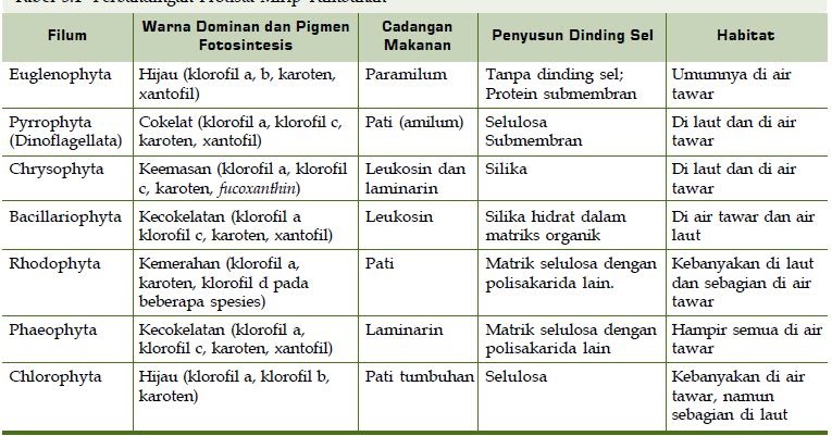 Detail Gambar Dan Identifikasi Protista Tumbuhan Nomer 52