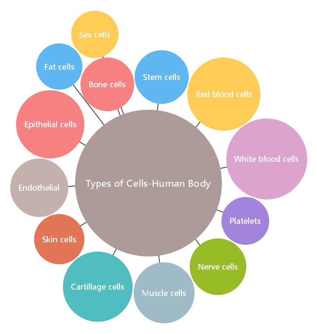 Detail Bubbl Mind Map Nomer 21