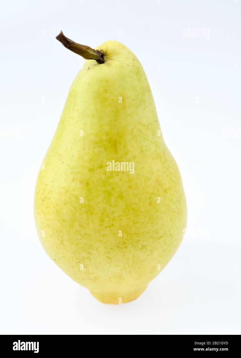 Detail Date Frucht Nomer 15