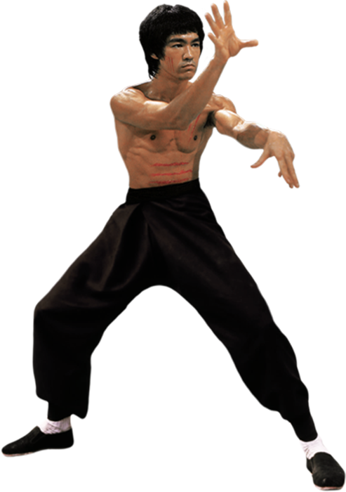 Detail Dragon Stance Kung Fu Nomer 2