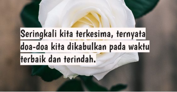 Detail Gambar Dan Kata Kata Yang Indah Nomer 51