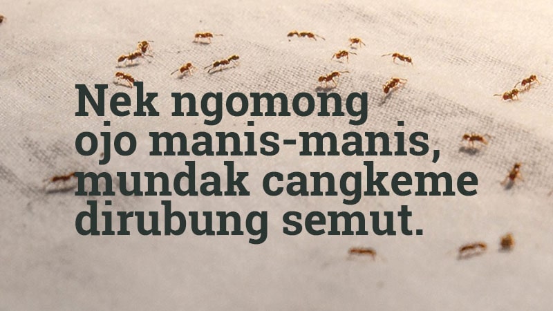 Detail Gambar Dan Kata Lucu Jawa Nomer 32