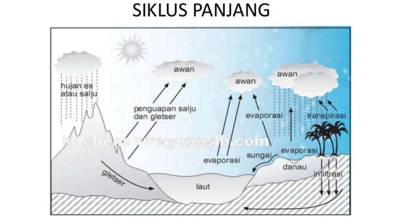 Detail Gambar Dan Keterangan Daur Air Nomer 44