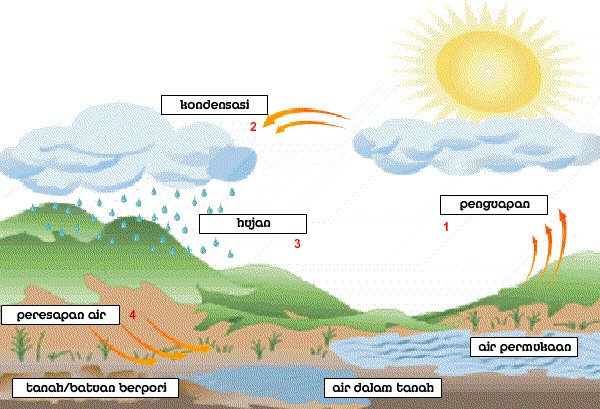 Detail Gambar Dan Keterangan Daur Air Nomer 9