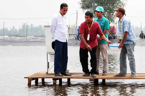 Detail Gambar Dan Keterangan Tambak Nomer 5