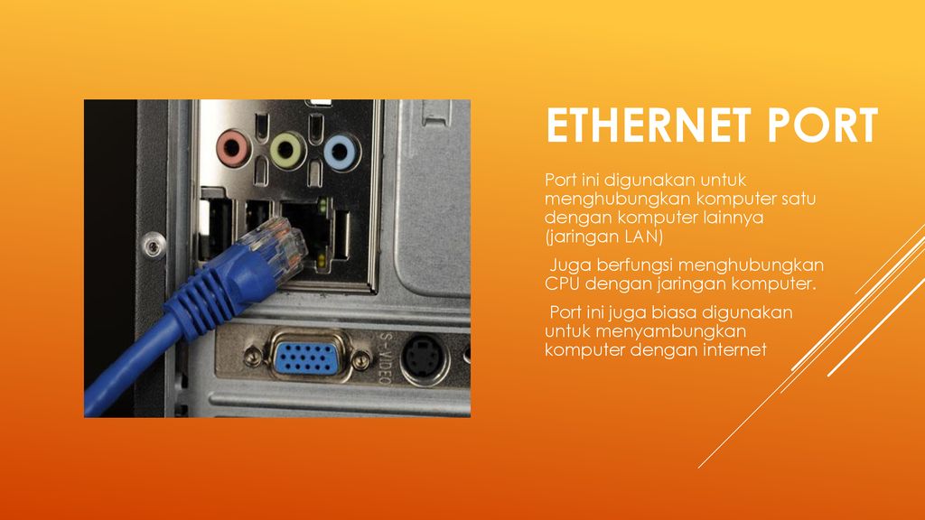 Detail Gambar Dan Ketereangan Port Port Pada Cpu Nomer 27