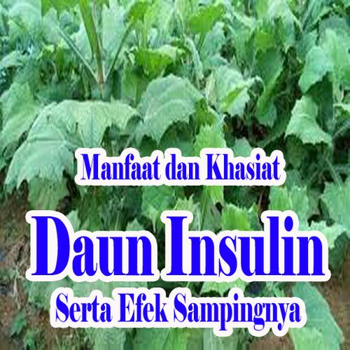 Detail Gambar Dan Manfaat Tanaman Insulin Nomer 22