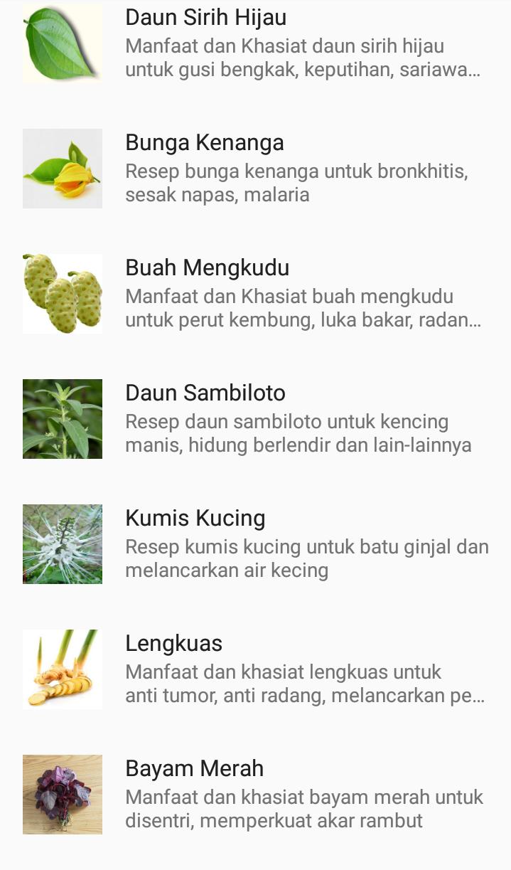 Detail Gambar Dan Manfaat Tanaman Obat Nomer 16