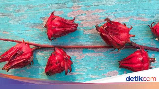 Detail Gambar Dan Manfaat Tanaman Rosella Nomer 37