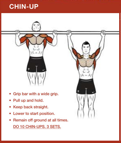 Detail Gambar Dan Nama Otot Di Shoulder Press Weight Training Nomer 14
