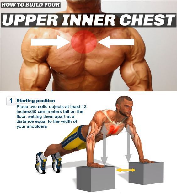 Detail Gambar Dan Nama Otot Di Shoulder Press Weight Training Nomer 23