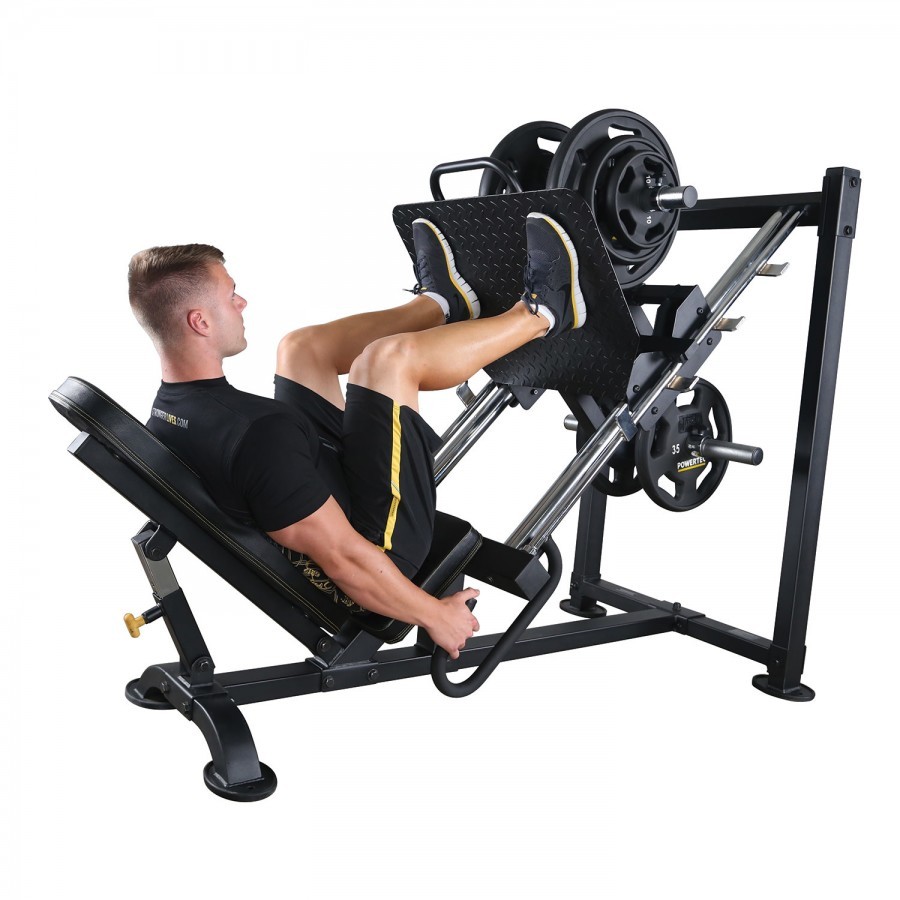 Detail Gambar Dan Nama Otot Di Shoulder Press Weight Training Nomer 26