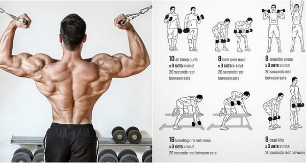 Detail Gambar Dan Nama Otot Di Shoulder Press Weight Training Nomer 8