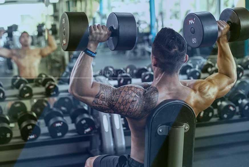 Detail Gambar Dan Nama Otot Di Shoulder Press Weiht Training Nomer 2