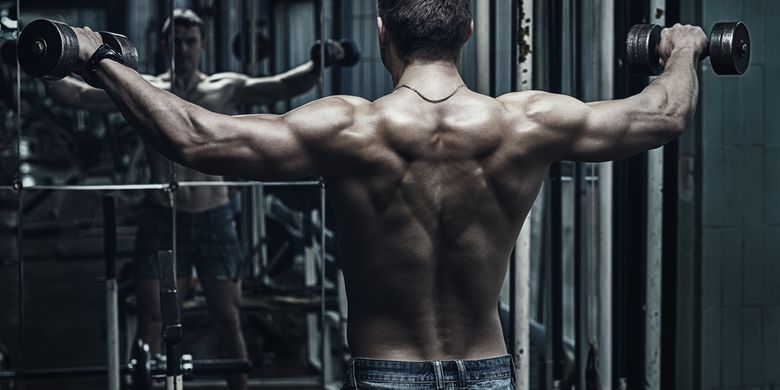 Detail Gambar Dan Nama Otot Di Shoulder Press Weiht Training Nomer 17