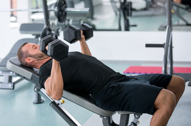 Detail Gambar Dan Nama Otot Di Shoulder Press Weiht Training Nomer 37