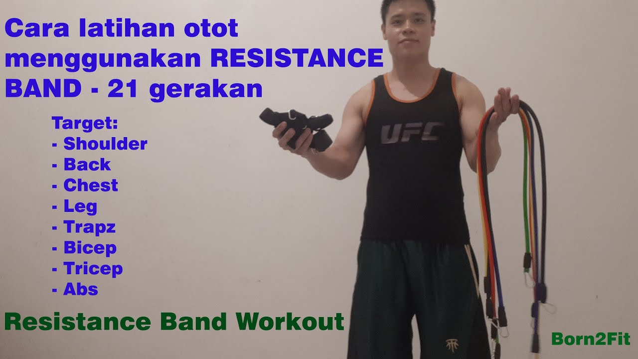 Detail Gambar Dan Nama Otot Di Shoulder Press Weiht Training Nomer 39