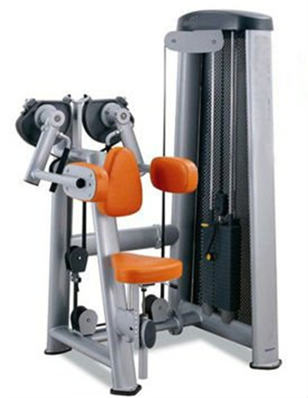 Detail Gambar Dan Nama Otot Di Shoulder Press Weiht Training Nomer 41