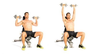 Detail Gambar Dan Nama Otot Di Shoulder Press Weiht Training Nomer 47