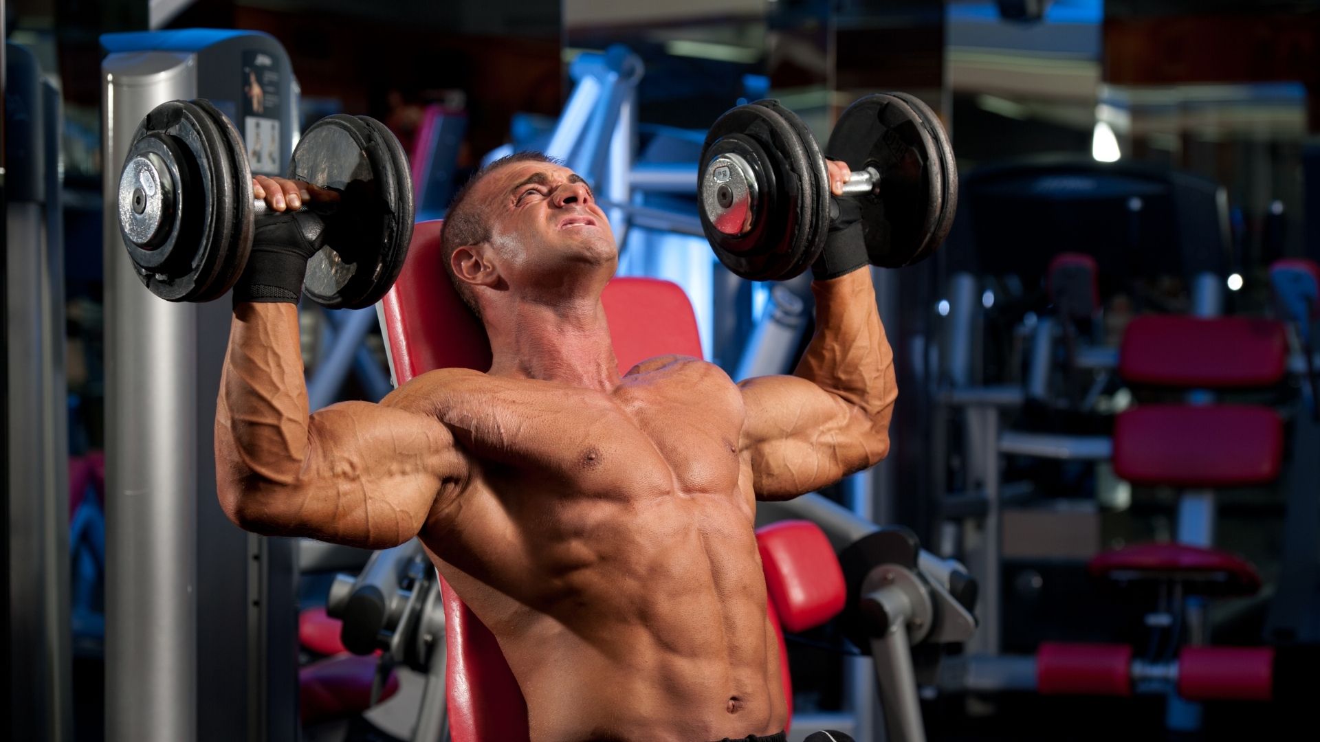 Detail Gambar Dan Nama Otot Di Shoulder Press Weiht Training Nomer 52