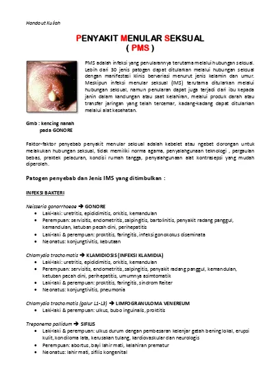 Detail Gambar Dan Orkitis Nomer 31